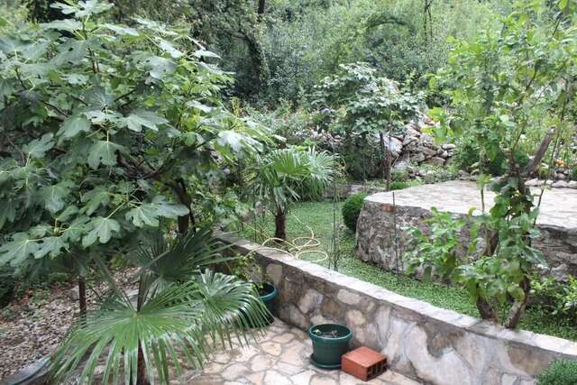 Апартаменты Apartments Mijuskovic Дони-Моринь-68